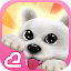Hi! Puppies♪