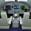 Escape:Airplane Crash Survival