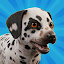 Pocket Paws: Dog Champions