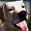 Dog Shelter Simulator 3D