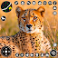 Wild Cheetah Simulator 3d