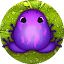 Pocket Frogs