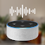 Voice Command
