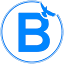 BlueBook