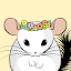 My Chinchilla