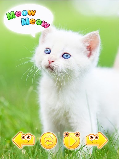 https://cdn-icon.bluestacks.com/RbL5FUCGbEgjAiHZGKlb-0_a_N48PnQseLkT5E9jrIaplOGlnk-9vwh4cWARS9AbpGv-MeY6Wwr2cdBGbmhL