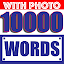 IELTS Vocabulary Booster
