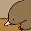 My Mole