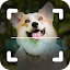 Dog Bread Identifier: Dog Scanner by photo, camera