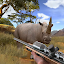 Animal Hunting Shooting Game