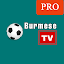 burmese tv 2026 update