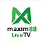 Maxim88 Live TV