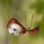 AntVentor: Puzzle Adventure