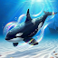 Fish Raising - My Aquarium
