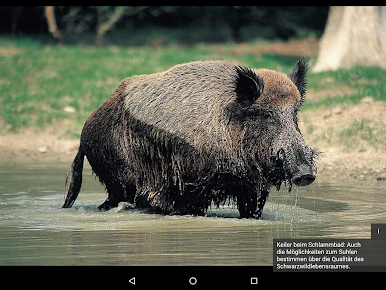 https://cdn-icon.bluestacks.com/UGGM0BE3AZ-IOdjqYxvUKifHk7q-f6irGWLWxBNEHrmNAfXYFZyAG1tbrk0_NhAoULIW5Vv4SE8XPuyUICgoIg