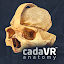 cadaVR anatomy