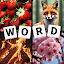 4 Pics 1 Word Puzzle 2025