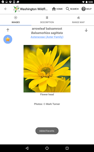 https://cdn-icon.bluestacks.com/UgK1GzYRP7qZOQ_Xpos3D1jpdQGUc9pnpivinduCVXfTsNvrdgfhieGnt2LAIX1QnQ_qJTQkRPmvyH5kfiBy