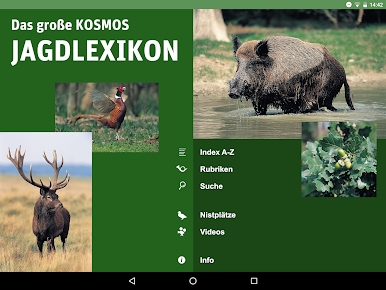 https://cdn-icon.bluestacks.com/Ul6bUUG9ZbrUyON5DRZfOLWeqMTosOA1XTjXV-hlCr9KuXjgtRD-yDG7afR8leg_k4NXn5zCTQJsbbkBRlznPA