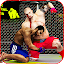 World Fighting Champions: Kick Boxing PRO 2018