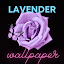 lavender wallpaper-purple-