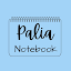 Cuaderno Palia