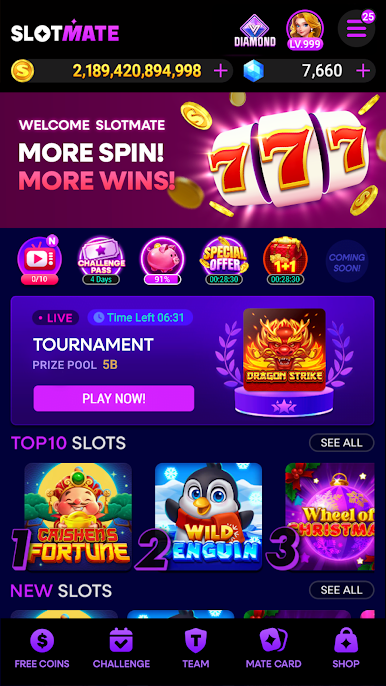https://cdn-icon.bluestacks.com/WKyB-GsQ_smaL_cgha049Zmczor2nvpPP1_m6kS1QY6mUGYgKZg2vLFoS_js1HQcAPnhgbTPdDhQ2doxUn5nFw