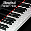 Piano Keyboard