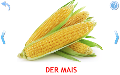 https://cdn-icon.bluestacks.com/WkHce6zjghSLWvjjuRVe1nrn8Mey_wIhVVn25jYxqDESMHTypWtConNC7rayHwC5hu-A2LmClH5PkbkFWzwwAA