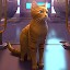 Cat Simulator Kitty Family 3d