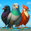 Bird Game 3 Online