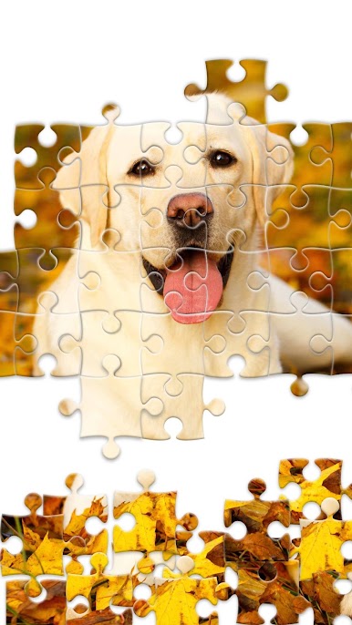 https://cdn-icon.bluestacks.com/XOowubHSsP2JgtaL8Gl5U9wJtXHt1wiB8Id7j1oNsq6BWx5yDl4ogmURE8ngZmuc6JEfcgfYQVXMw_avk_N8nA