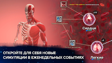 https://cdn-icon.bluestacks.com/XWOTb9jWnCnyQ5HKtRYwwif4NPXEfKkhbrdlEaOcUQLSEUwYmbeYSgEcnD6eS8BXwuSGLk2Zlg8y3JarsiRk