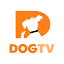 DOGTV