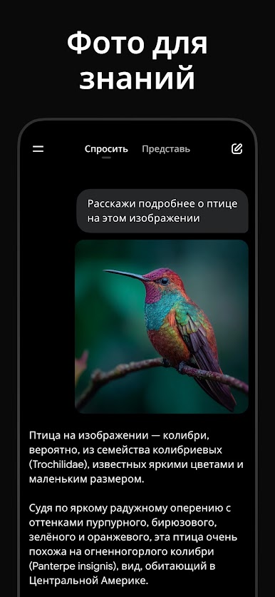 https://cdn-icon.bluestacks.com/YRWFm7ClEKxMW7w2y3xZfd1ucwhPGkFV0v-VFVYYRqbIt6rYh8tp3uwY4cORYEP7rjvvuNQw7WlmCutrnVIN