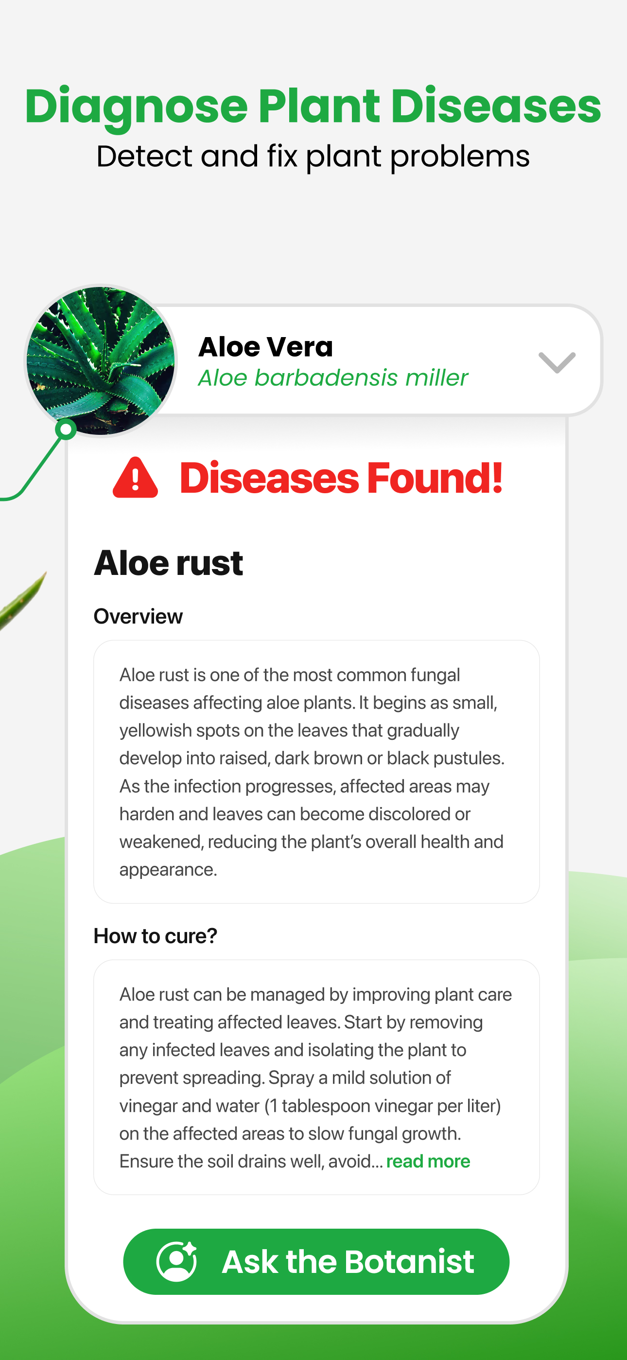 Download and run PlantApp - Plant Identifier on PC & Mac (Emulator)