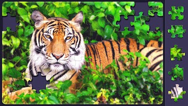 https://cdn-icon.bluestacks.com/Yg5S_fzJ2CVUR1fj9OiqlaZq5laY9glxROtDb_HllNxoLyRxJpA2n0sMcucpdgghN_oZW4vz4kDUmzv_mHbX
