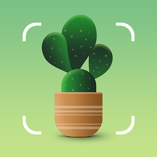 Play Plantum - Plant Identifier Online