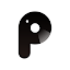 P2 Pro
