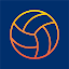 Volleyball Scout