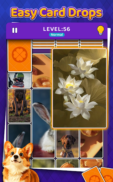 https://cdn-icon.bluestacks.com/Zv2C6eFEM3JoH1M-0eNa1BjCtLsOEgvN3OnL-XDJcnOUcILD-ttBkSSqZnVL9_l4M0mIMHBGijoE4HsKjG0Zcg