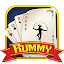 Rummy offline King of card game