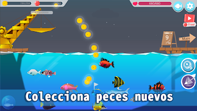 https://cdn-icon.bluestacks.com/_8gpXuPM8TDGxf31qtWxnJEf1iUfQDApVBeZQ7bTvWr-ewd6GVOehWktquSiWKoYJ4pWbAG4uyZ6rl3pmlgAxg