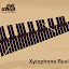 Xylophone Real: 2 mallet types