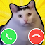 Meme Cat Sim: Cozy Home