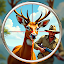 Wild Stag Hunting:Animal Shoot