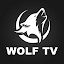WOLF IPTV