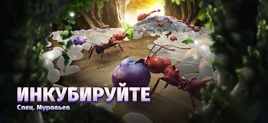 https://cdn-icon.bluestacks.com/aBovxaDqEHLSc6Ab0eM57sKxny5EUtMGnfoVJ0CkQTsOU9oK_j-SLEAzqV-CIDgZ5D8aiVTR8Dfw0QC0v-h_rw