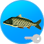 True Fishing (key). Fishing simulator