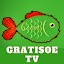Gratisoe Tv Mod Apk Guide